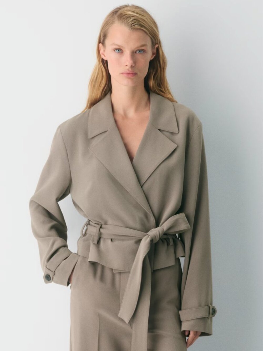 NWT Aritzia Postage jacket
